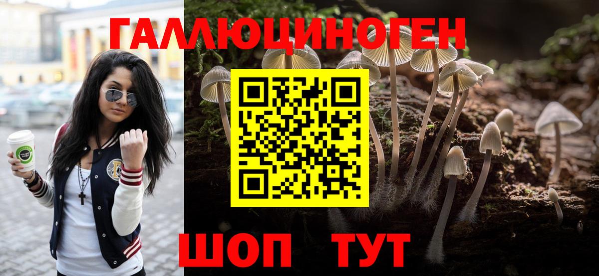 Галлюциногенные грибы GOLDEN TEACHER Фрязино