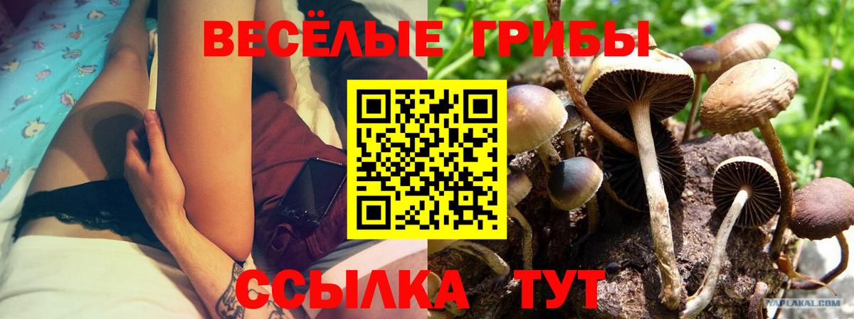 Псилоцибиновые грибы Psilocybine cubensis  Вход с VPN  Фрязино 